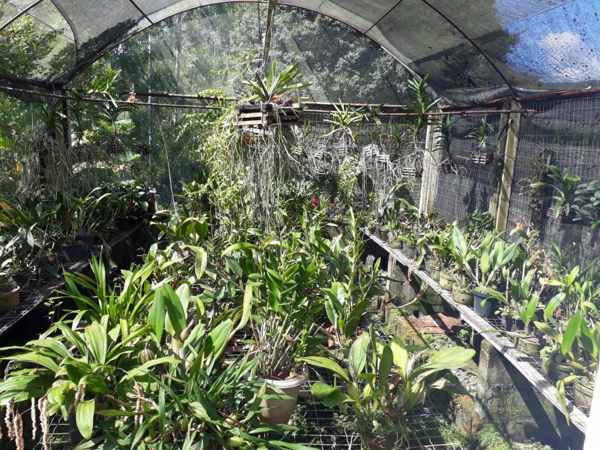 Casa/Sitio Na Serra Em Bom Jardim - Rj Экстерьер фото