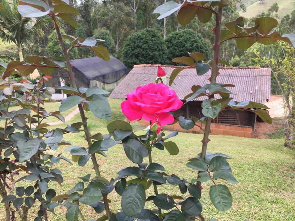 Casa/Sitio Na Serra Em Bom Jardim - Rj Экстерьер фото