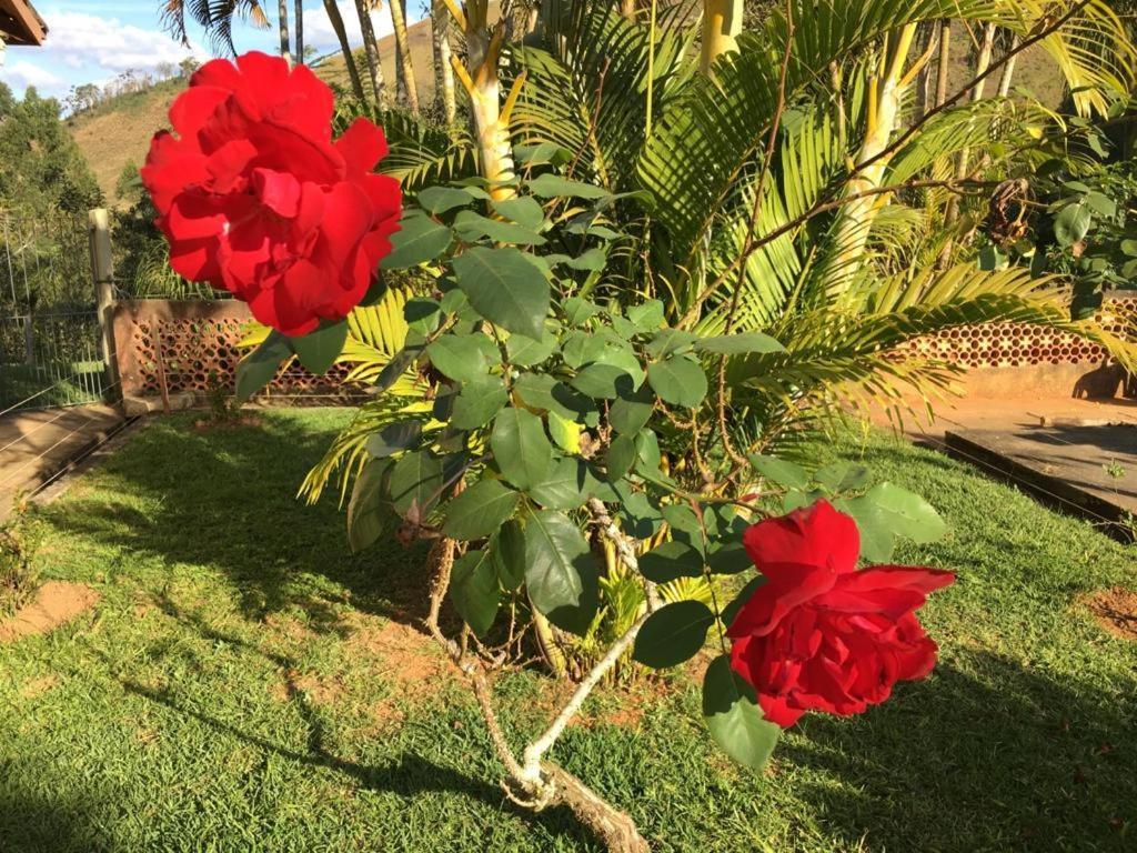 Casa/Sitio Na Serra Em Bom Jardim - Rj Экстерьер фото